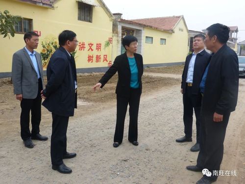 【汶上县】县委书记李志红,县委常委,组织部长张沉静到我县南旺镇督导