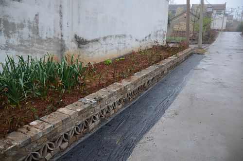 义马:发奖金啦!义马市改善农村人居环境整治观摩进行中