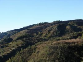 白营村(贵州省赫章县朱明乡下辖村)