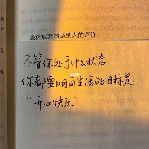 不碰爱情._教育_旅行_情感_家庭
