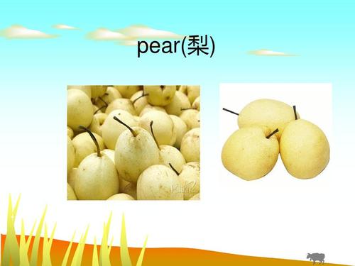 人教版三年级英语 puera梨()