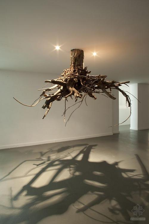 创意画报 - 装置艺术:giuseppe licari设计的树根装置作品 - qq邮箱