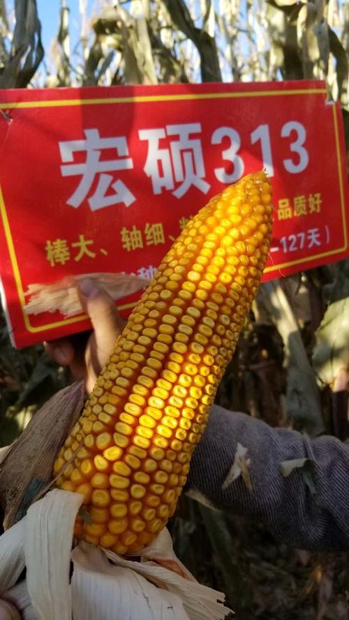 宏硕精品,助力丰收.