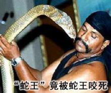 马来西亚"蛇王"阿里·汉·三苏丁在被一条眼镜蛇王咬伤后医治无效死亡
