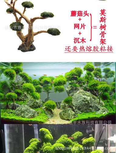 厂家定制水族箱草缸鱼缸造景莫斯树迎客松骨架过滤棉5cm蘑菇头