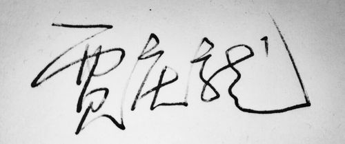 艺术签名贾庆龙动态