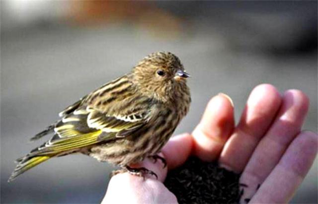 佛家"布施"讲究"三轮体空",了悟这4个故事,福报自然来