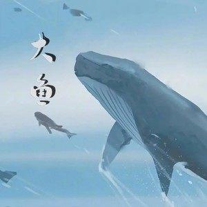 大鱼钢琴版