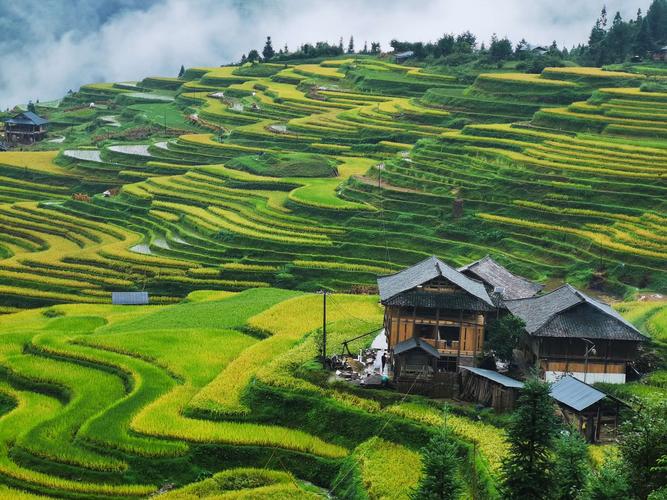 早上7:10从梅录集中出发,浅水龙首吃早餐,浅水上高速直达贵州加榜梯田