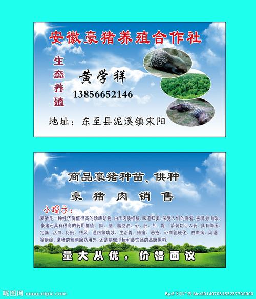 原生态 名片卡片 广告设计 设计 cdr 作品描述: 名片 豪猪 豪猪养殖