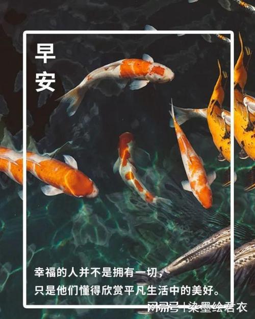 早安心语早安励志一句话