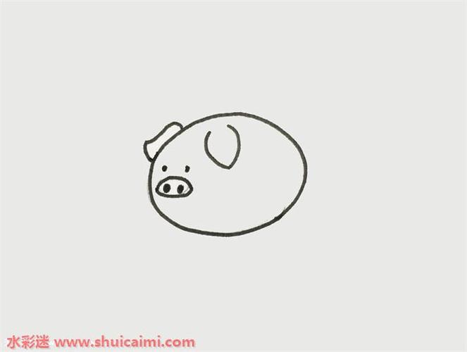 小猪简笔画的画法步骤图解