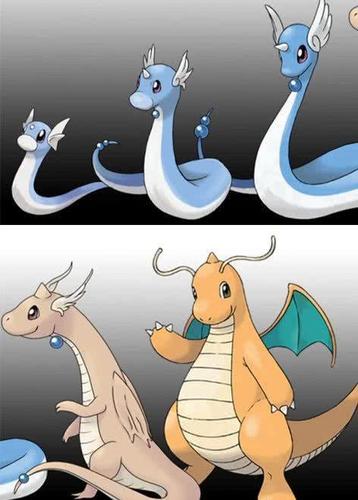 快龙进化的简笔画视频