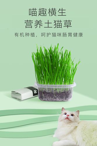 喵趣横生猫草商家专供