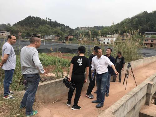 县河长办协同金堂电视台到竹篙镇查看清河行动