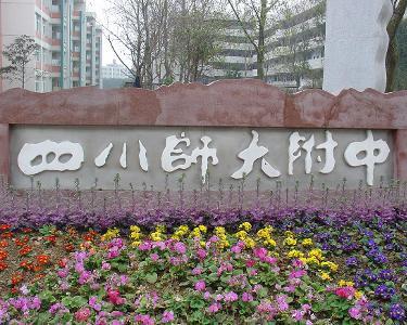 四川成都锦江区师范大学附属中学川师附中数学老师
