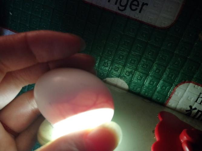 鸽子孵蛋,孵了十来天就不孵化了.是不是死胎了?可以自己用烤灯孵化吗