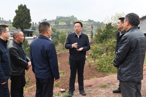 张安疆带队调研乡村振兴工作时强调大力发展乡村特色产业加快推进农业