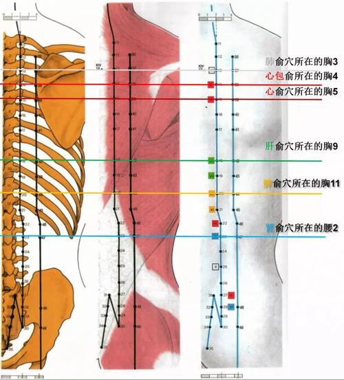 079/199|速查手册:五行针灸治疗次第——祛邪,扶正