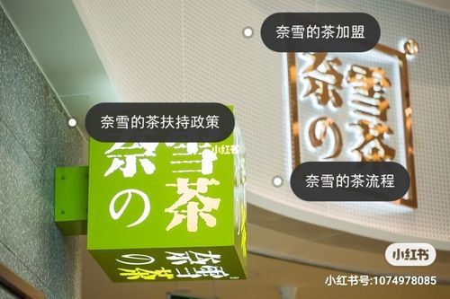 奈雪的茶2021正式开放加盟,基本条件介绍_奈雪的茶怎么样_奶茶_餐饮