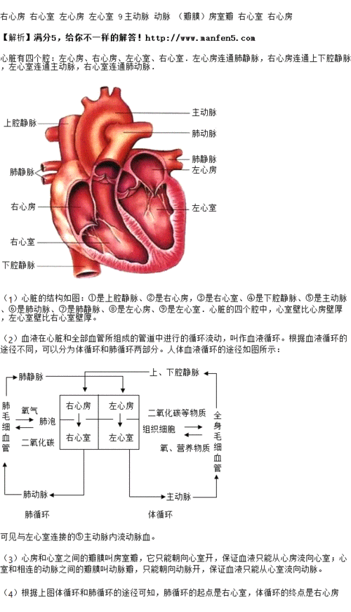 如图心脏结构模式图,读图并回答下列问题