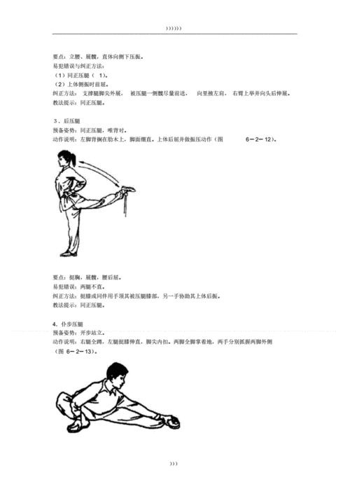 武术基本功图解.pdf 13页