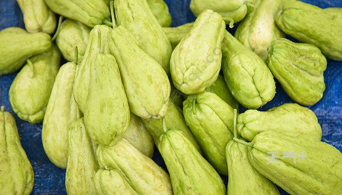佛手瓜的功效与作用佛手瓜图片