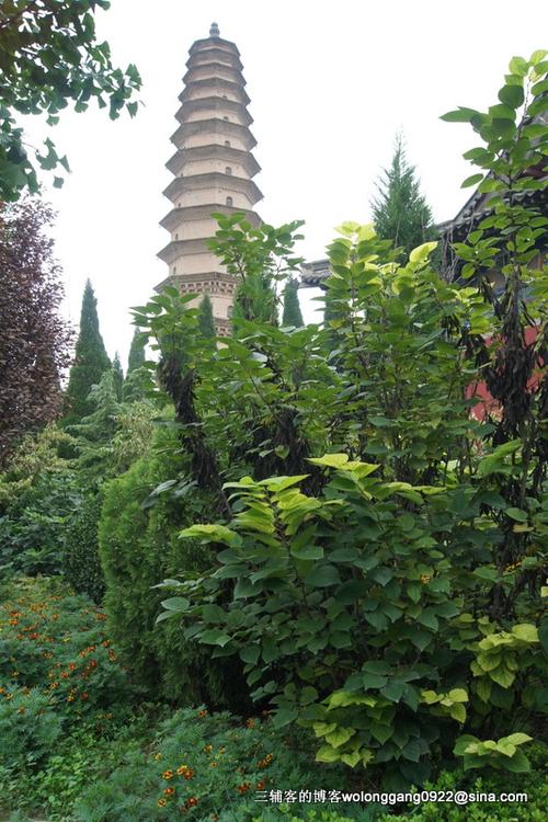 芮城圣寿寺塔