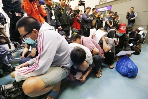 蔡正元爆料大马案诈骗犯抵台获释后立刻酒店狂欢.