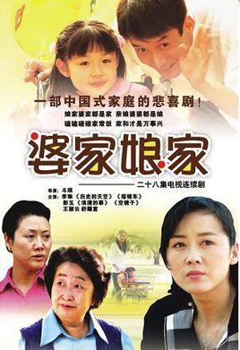 二十八集电视连续剧婆家娘家十碟装(dvd)