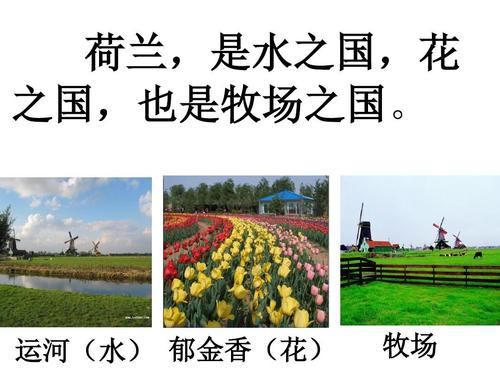 小学教育 语文 长春版语文四上《田园诗情》公开课课件1ppt 荷兰,是水
