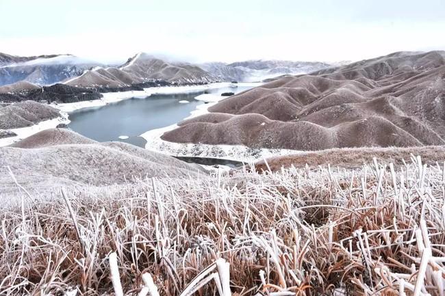 雾凇,冰凌,雪景……广西多地一夜白头!美爆了!