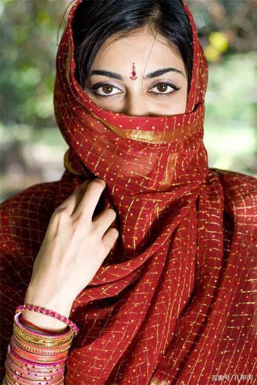 印度教授:中国落后印度太多,穷人家里才装厕所