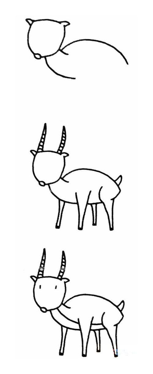 幼儿羚羊的简单画法好看怎么画羚羊简笔画图片
