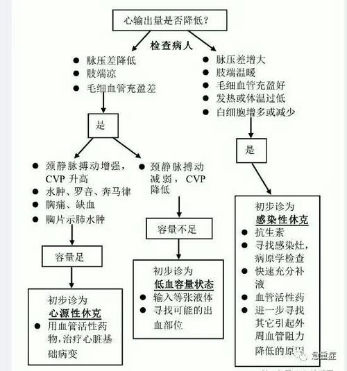 写美篇 2, 从血流动力学角度对休克进行分类:低血容量性休克(出血或