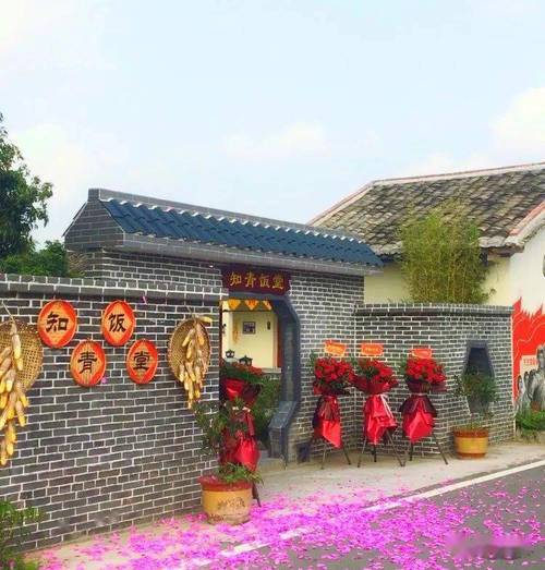 分界镇杏花村知青饭堂:为乡村振兴锦上添花_高州市