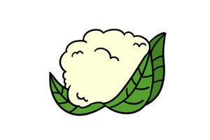 菜花简笔画教你画