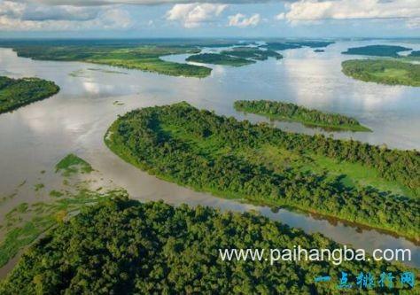 流域面积约370万平方千米,是非洲第二长河,途径非洲热带雨林,物种非常