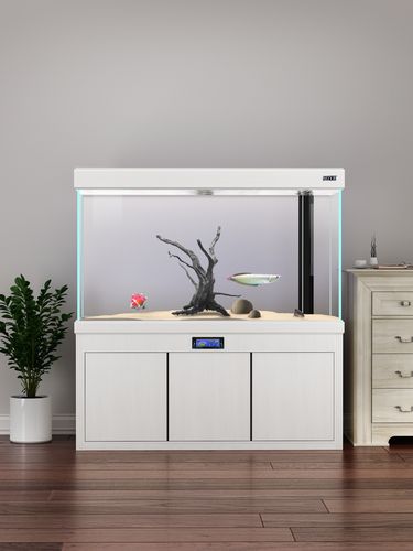 白色鱼缸造景
