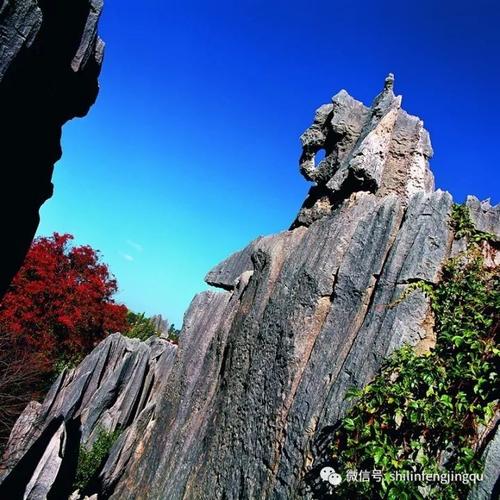 微游石林:象踞石台