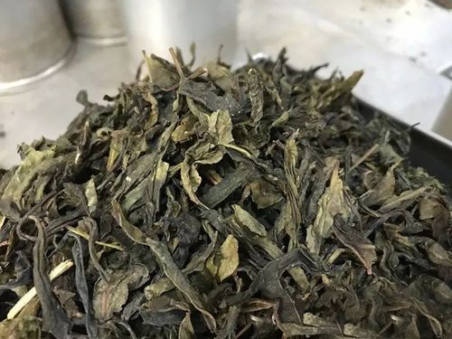 普洱茶中的"黄金叶",您喝过吗?