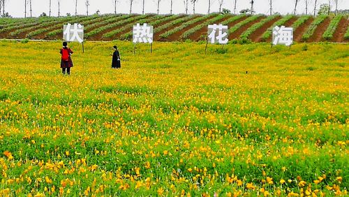 游句容伏热花海 (2019年4月29日 小雨)