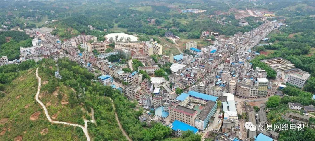 藤县金鸡镇的骄傲历史