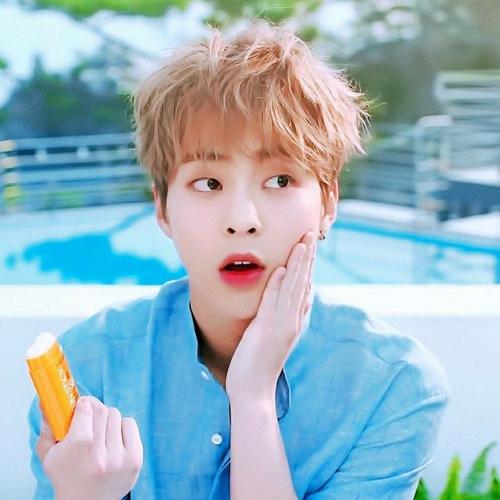 金珉锡的蝴蝶少女