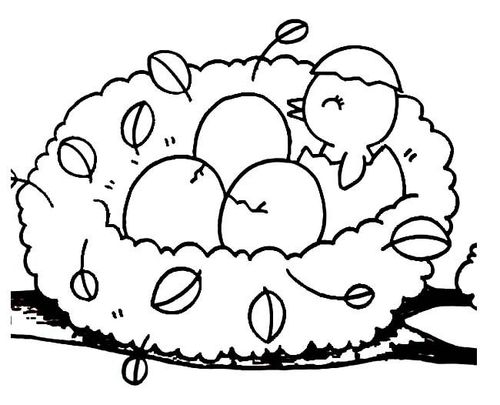 动物小鸟简笔画大全 超萌可爱刚出壳的小鸟简笔画图片大全