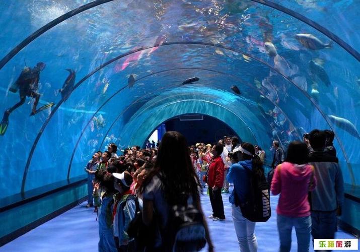 极地海洋世界_极地海洋世界门票价格_寿光极地海洋