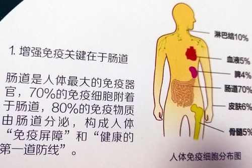 关于肠道保健的15条箴言