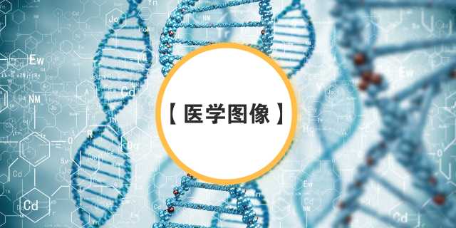 龙鹏-言有三:【数据集】一文道尽医学图像数据集与竞赛zhuanlan.