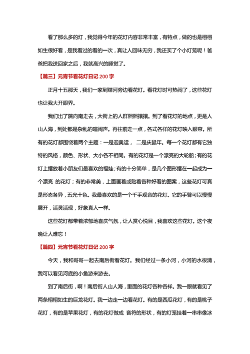 元宵节看花灯日记200字8篇.docx 5页