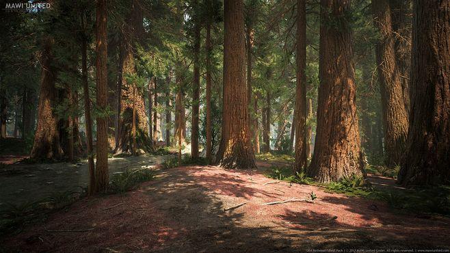 ue4 redwood forest, willi hammes : procedural giant sequoia